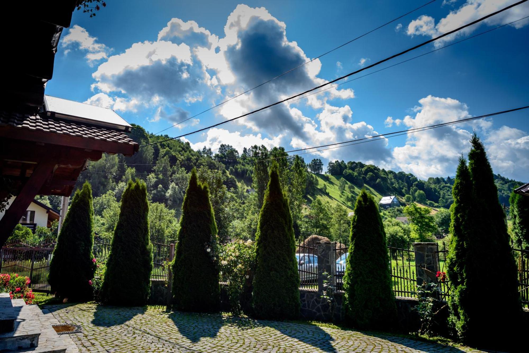 Villa Bradutul de la Munte Bran  Exterior foto